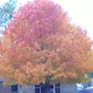 Meet your Posher, Marina